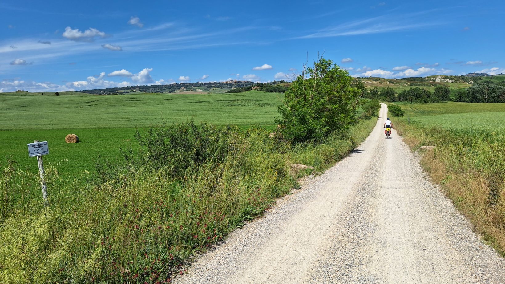 Taupenivo
